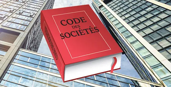 Le droit des sociétés